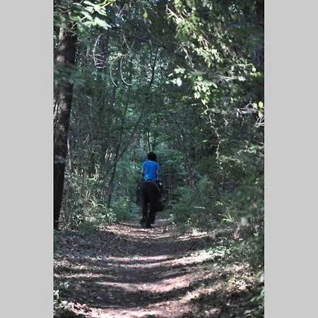 Prázdninový dům La Casa Rossa Nel Bosco Cantù