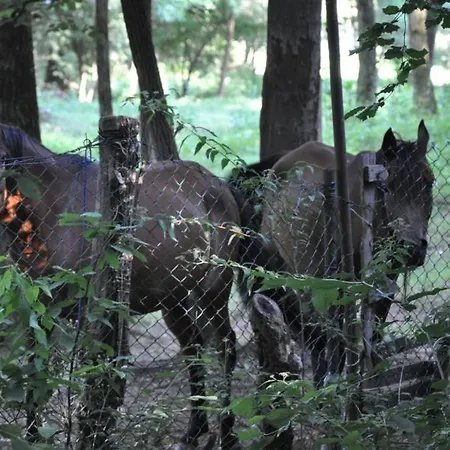 La Casa Rossa Nel Bosco * Cantù